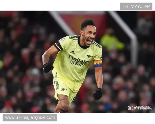 英超资助助力社区足球计划 基层设施建设加速推进